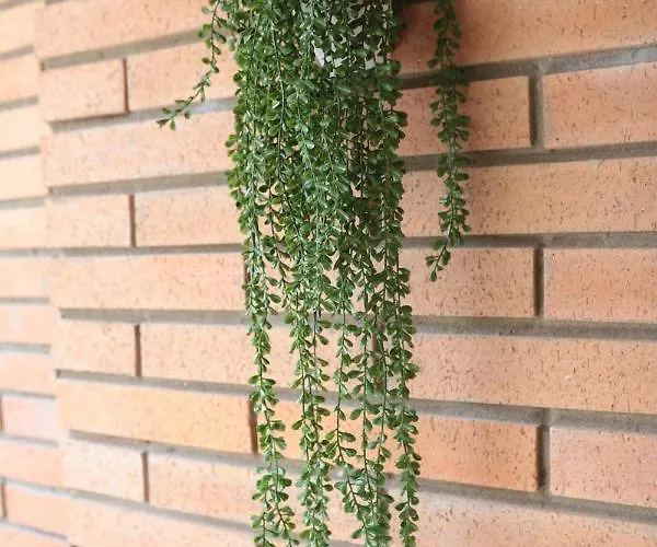 Modern Al Costat Del Parc De La Devesa *