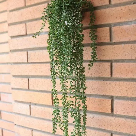 Modern Al Costat Del Parc De La Devesa *