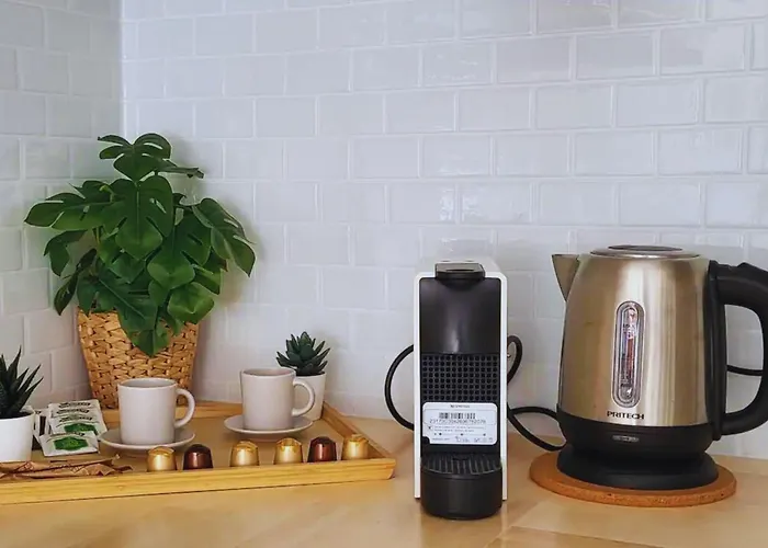 Modern Al Costat Del Parc De La Devesa Daire *