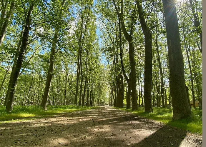 Modern Al Costat Del Parc De La Devesa Апартаменты Жирона