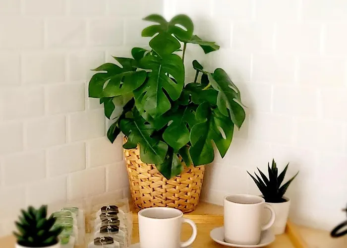 Modern Al Costat Del Parc De La Devesa * Жирона